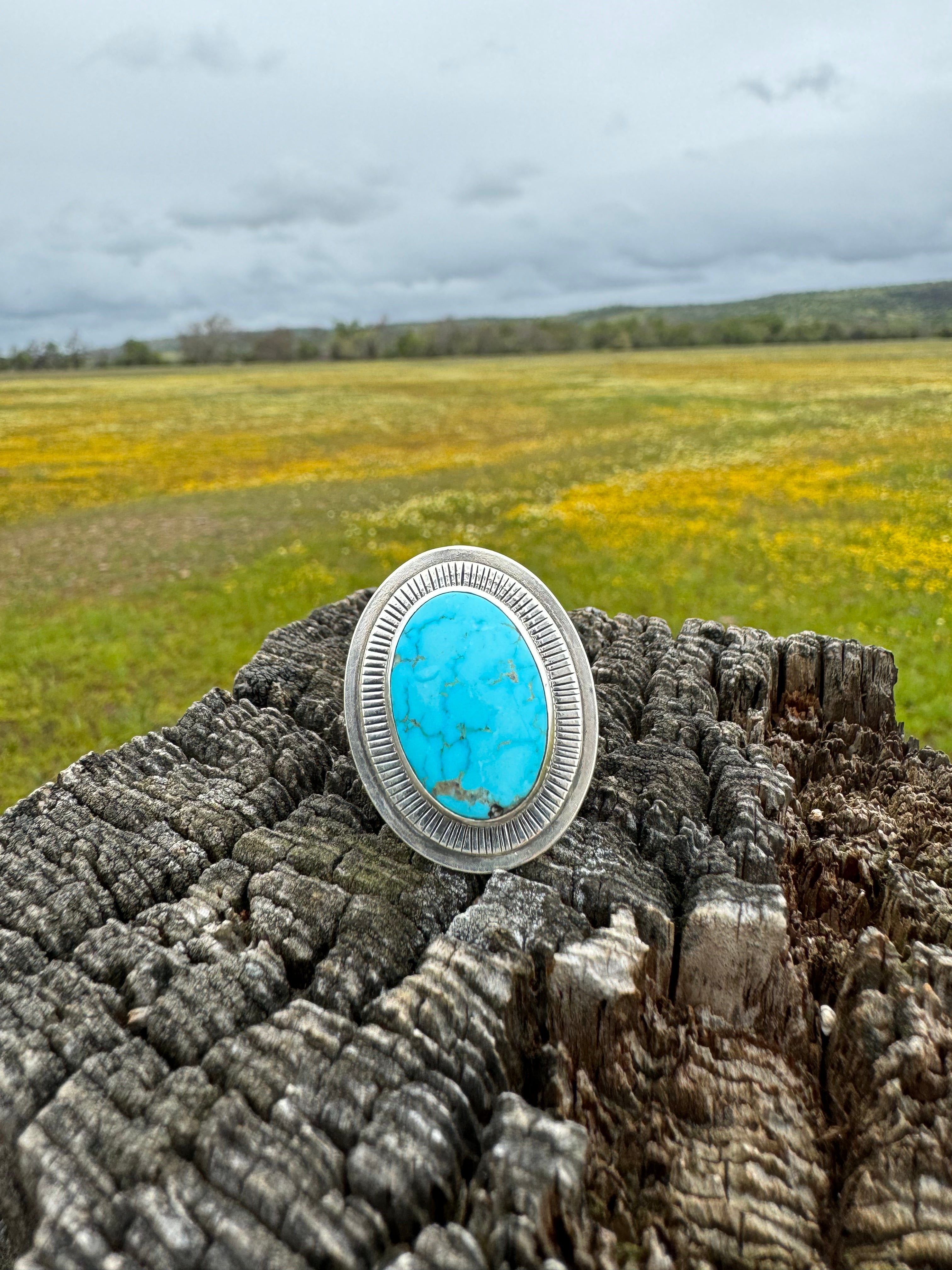 Sonoran Turquoise Satellite statement ring size US 6 1/2 (fits like 6 1/4)