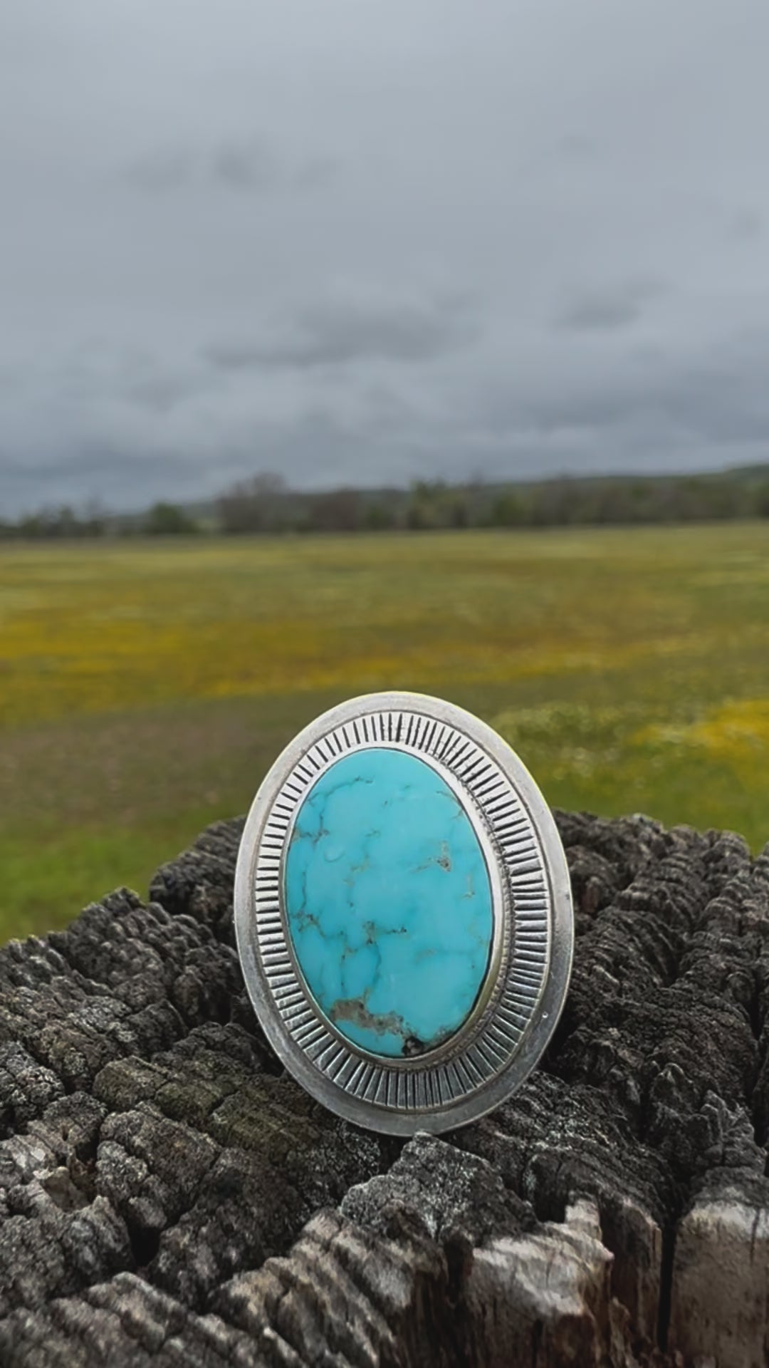 Sonoran Turquoise Satellite statement ring size US 6 1/2 (fits like 6 1/4)