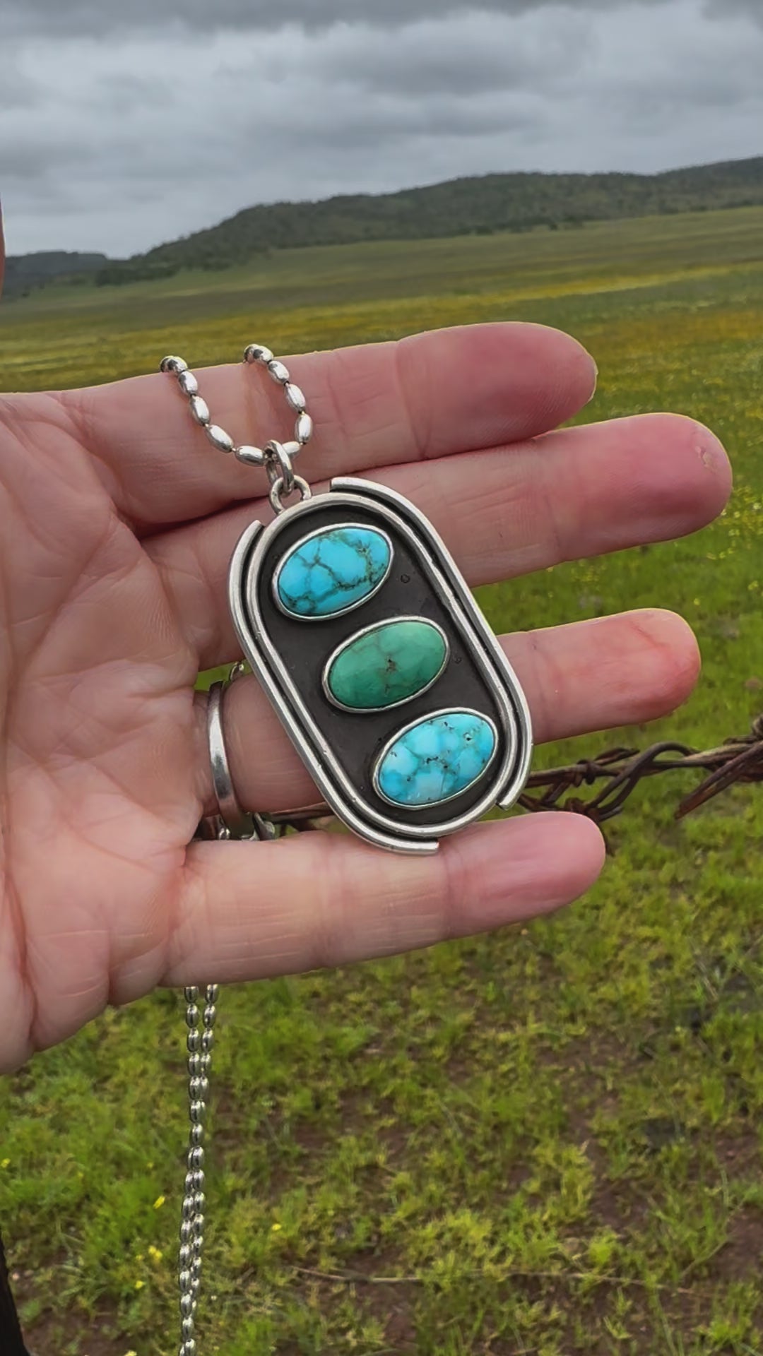 Stone Collector Shadow Box Necklace #2 with Kingman and Emerald Valley turquoise stones