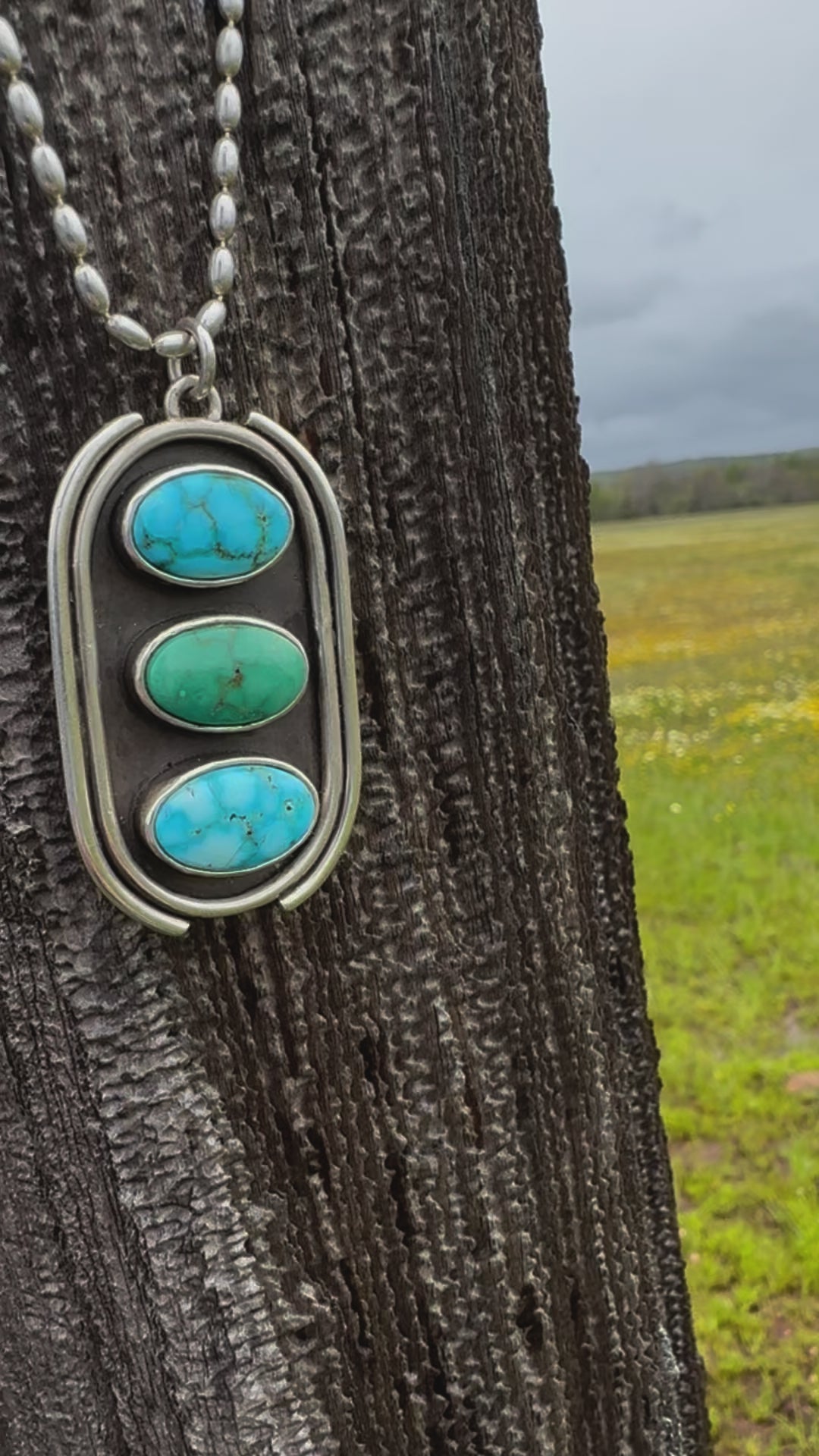 Stone Collector Shadow Box Necklace #2 with Kingman and Emerald Valley turquoise stones